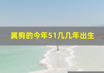 属狗的今年51几几年出生