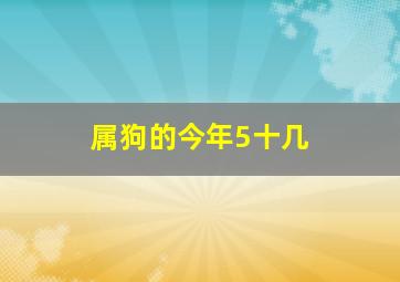 属狗的今年5十几