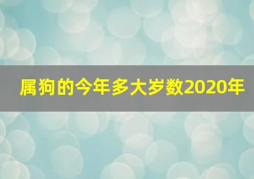 属狗的今年多大岁数2020年