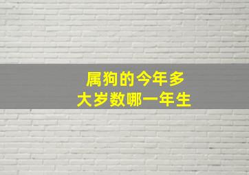 属狗的今年多大岁数哪一年生