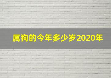 属狗的今年多少岁2020年