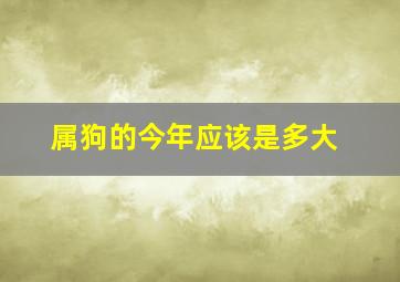 属狗的今年应该是多大