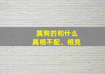 属狗的和什么属相不配、相克