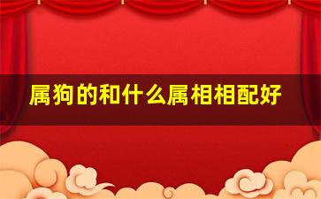 属狗的和什么属相相配好