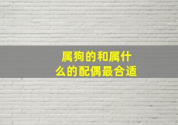 属狗的和属什么的配偶最合适