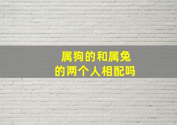 属狗的和属兔的两个人相配吗