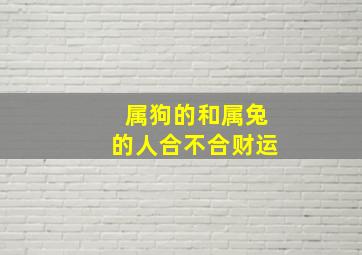 属狗的和属兔的人合不合财运