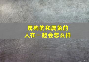 属狗的和属兔的人在一起会怎么样