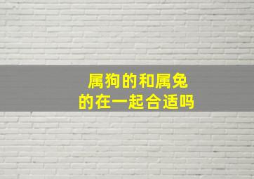 属狗的和属兔的在一起合适吗