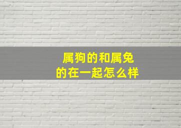 属狗的和属兔的在一起怎么样