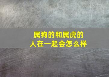 属狗的和属虎的人在一起会怎么样