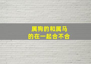 属狗的和属马的在一起合不合