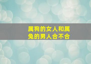 属狗的女人和属兔的男人合不合