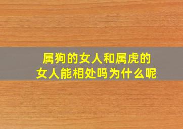 属狗的女人和属虎的女人能相处吗为什么呢