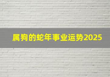 属狗的蛇年事业运势2025