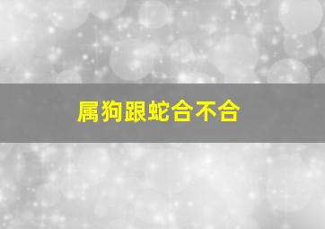 属狗跟蛇合不合