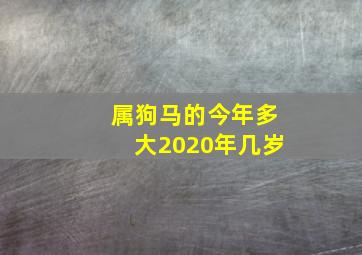 属狗马的今年多大2020年几岁