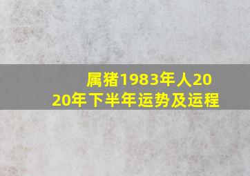 属猪1983年人2020年下半年运势及运程