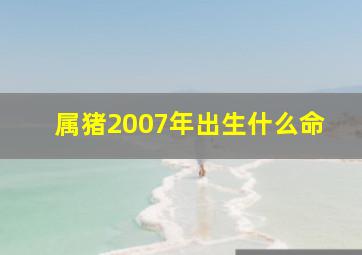 属猪2007年出生什么命