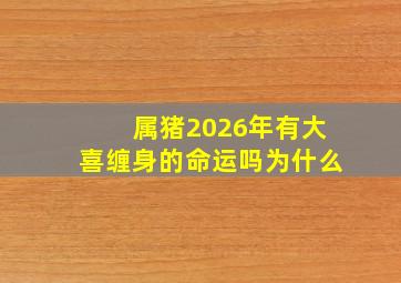 属猪2026年有大喜缠身的命运吗为什么