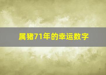 属猪71年的幸运数字