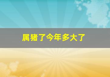 属猪了今年多大了