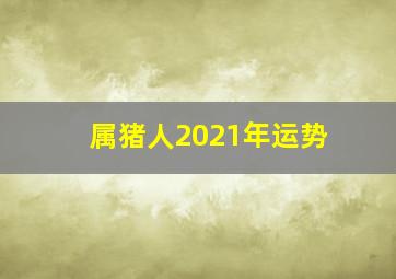 属猪人2021年运势