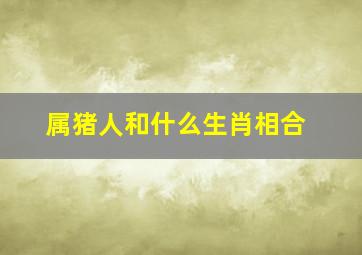 属猪人和什么生肖相合