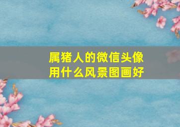 属猪人的微信头像用什么风景图画好