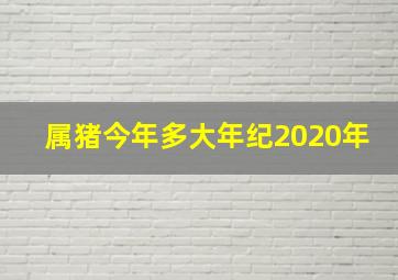 属猪今年多大年纪2020年