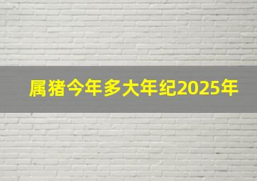 属猪今年多大年纪2025年