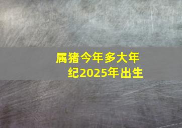 属猪今年多大年纪2025年出生