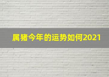 属猪今年的运势如何2021