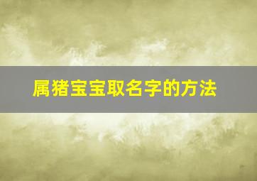 属猪宝宝取名字的方法