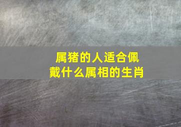 属猪的人适合佩戴什么属相的生肖