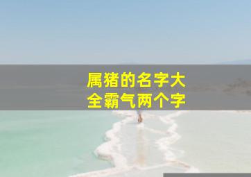 属猪的名字大全霸气两个字