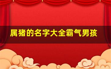 属猪的名字大全霸气男孩