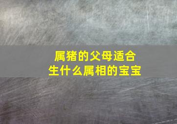 属猪的父母适合生什么属相的宝宝