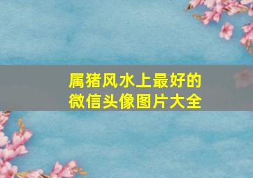 属猪风水上最好的微信头像图片大全