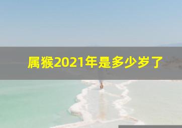 属猴2021年是多少岁了