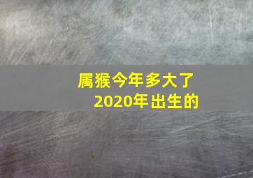 属猴今年多大了2020年出生的