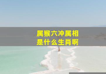 属猴六冲属相是什么生肖啊