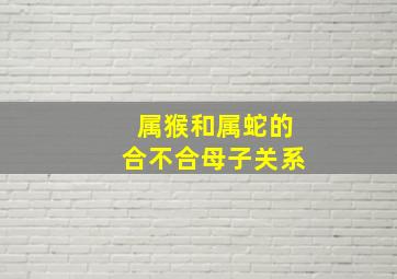 属猴和属蛇的合不合母子关系