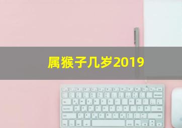 属猴子几岁2019