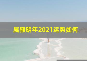 属猴明年2021运势如何