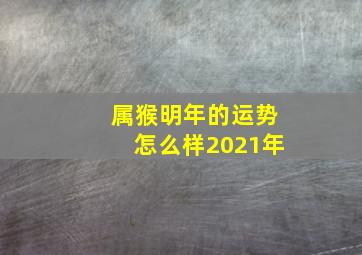 属猴明年的运势怎么样2021年