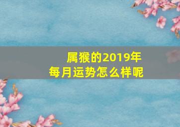 属猴的2019年每月运势怎么样呢