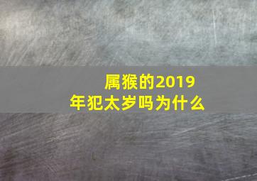 属猴的2019年犯太岁吗为什么