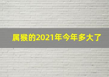 属猴的2021年今年多大了