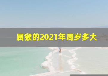 属猴的2021年周岁多大